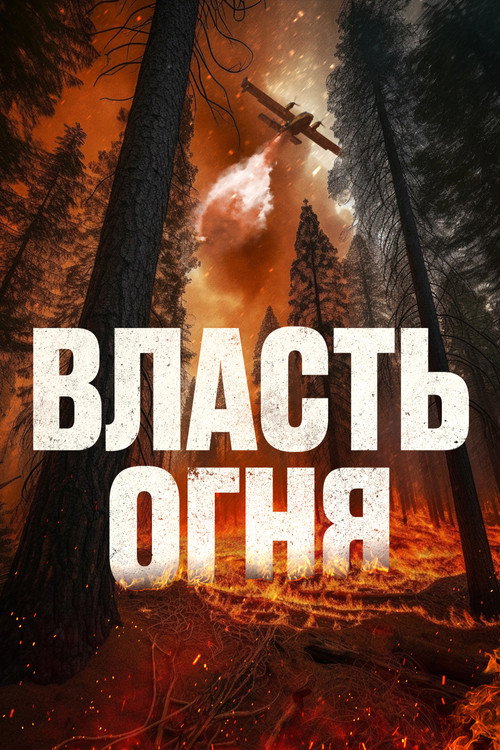Постер: Власть огня
