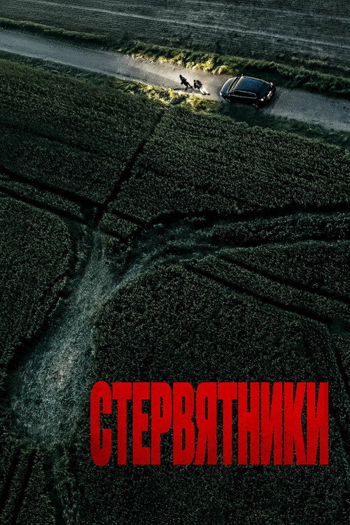 Постер: Стервятники