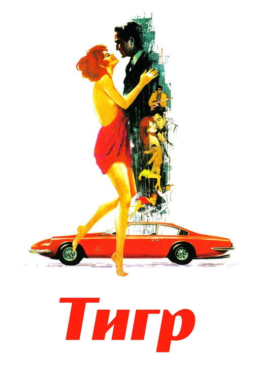 Постер: Тигр