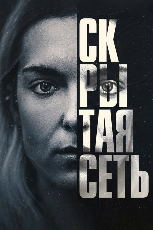 Постер: Скрытая сеть