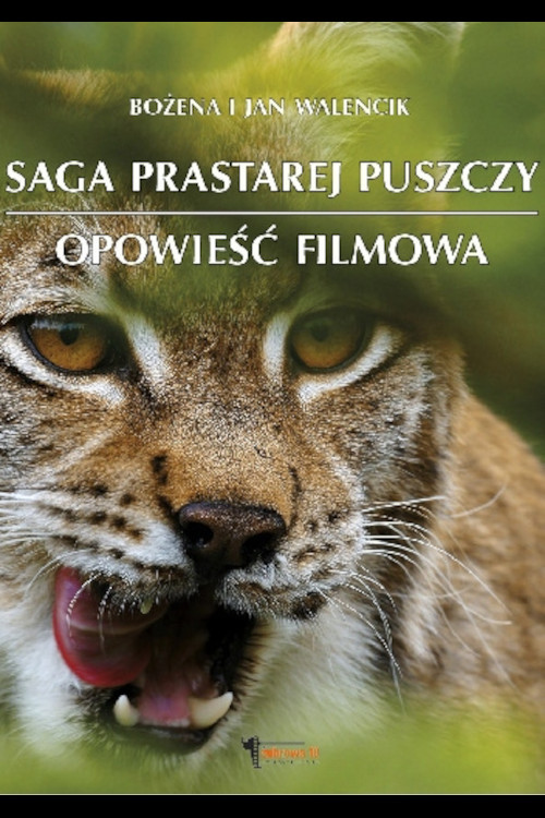 Постер: Сага о древнем лесе