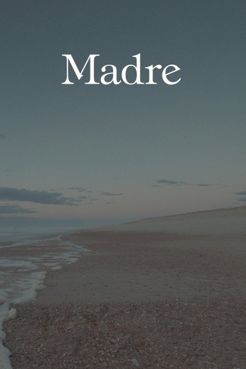 Постер: Мать
