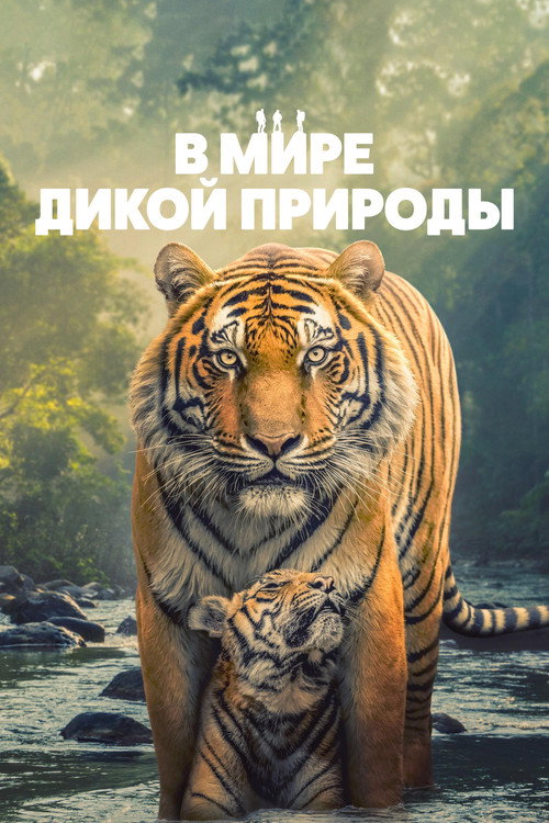 Постер: В мире дикой природы