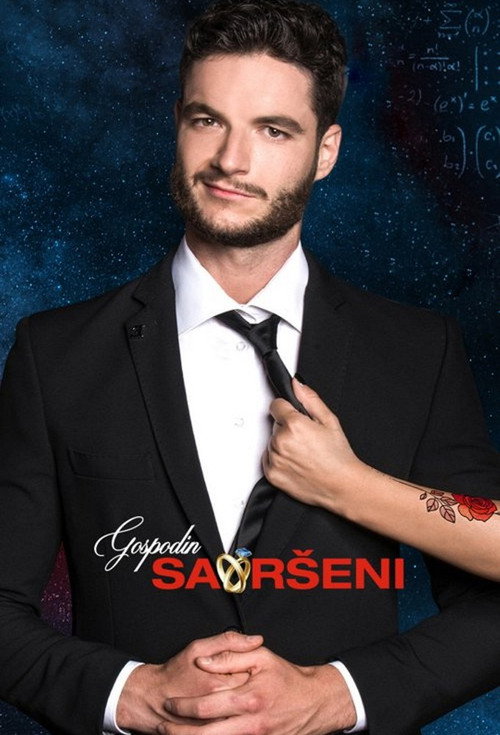 Постер: Gospodin Savršeni