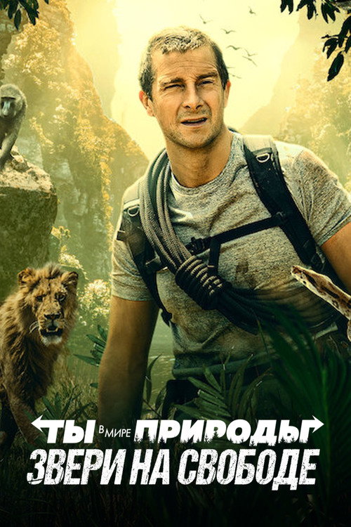 Постер: Ты в Мире Природы: Звери на Свободе