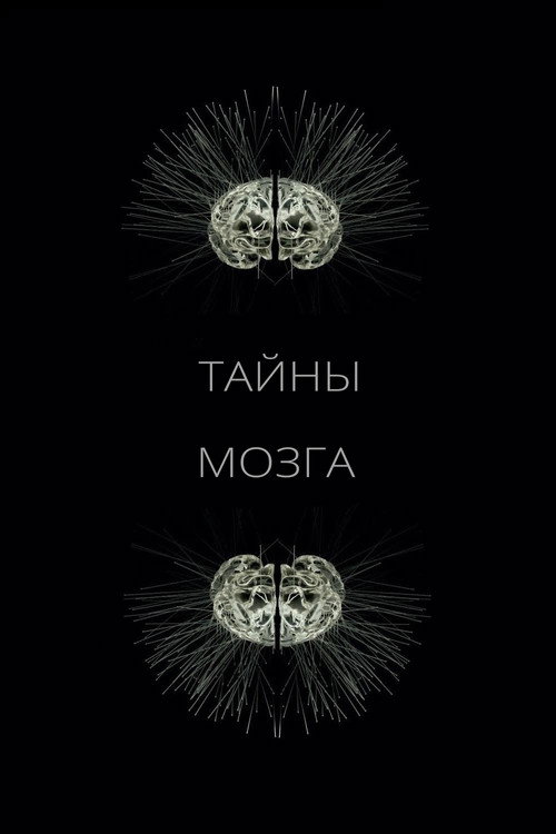 Постер: Тайны мозга
