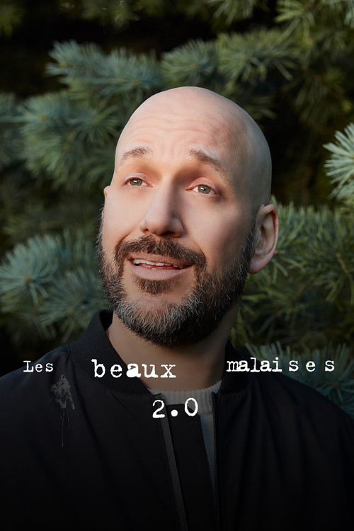 Постер: Милые беды 2.0