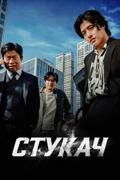 Постер: Стукач
