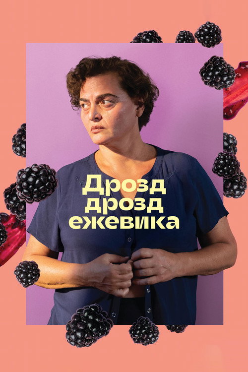 Постер: Дрозд дрозд ежевика