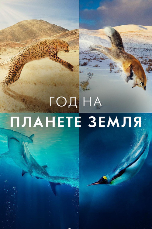 Постер: Год на планете Земля