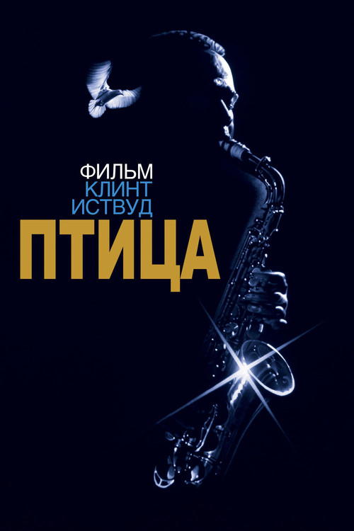 Постер: Птица