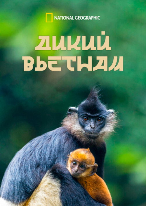 Постер: Дикий Вьетнам