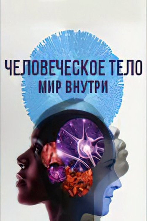 Постер: Человеческое тело: мир внутри