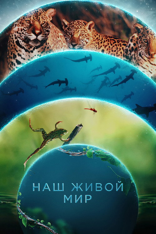 Постер: Наш живой мир