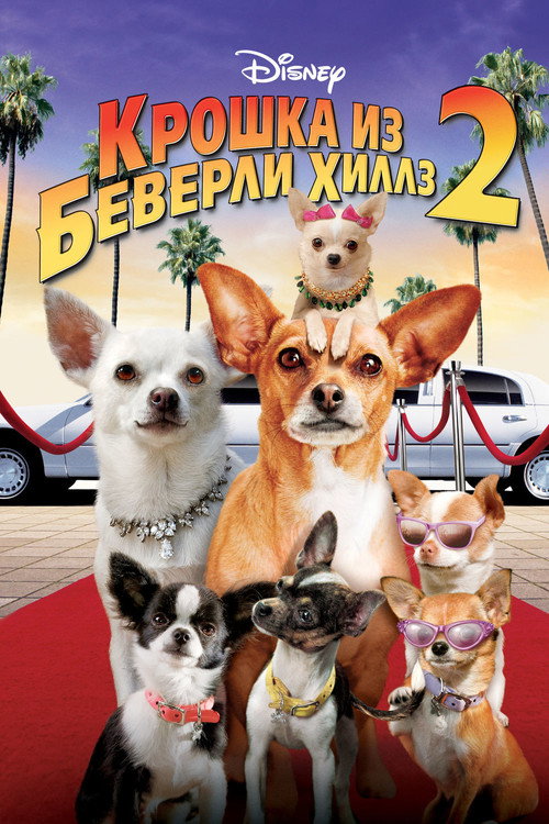 Постер: Крошка из Беверли-Хиллз 2