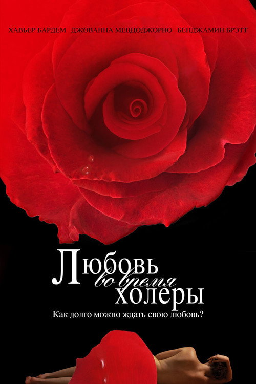 Постер: Любовь во время холеры