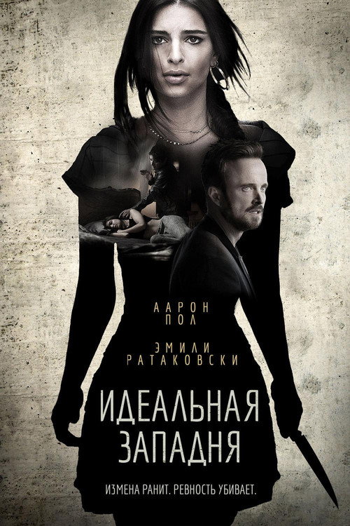 Постер: Идеальная западня