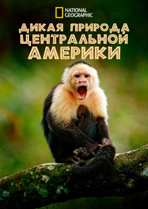 Постер: Дикая природа Центральной Америки