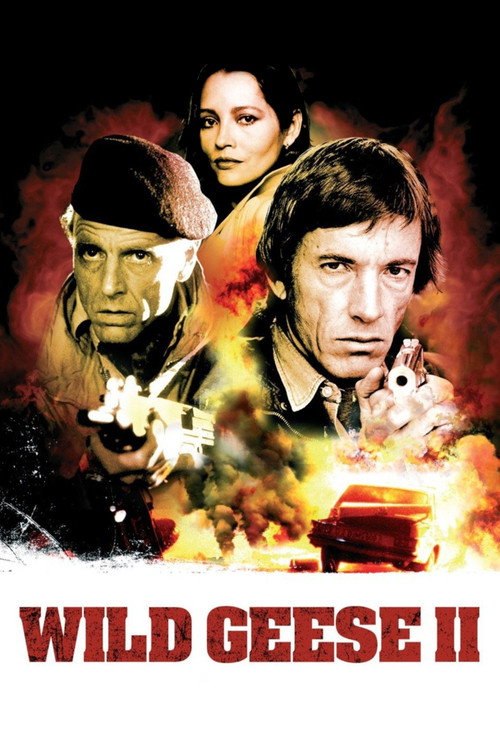 Постер: Дикие гуси 2