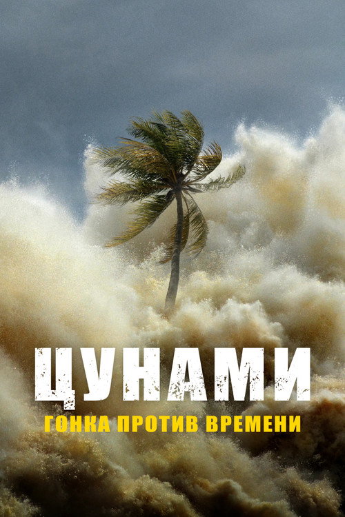 Постер: Цунами: наперегонки со временем