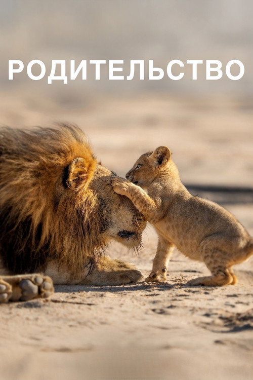 Постер: Родительство