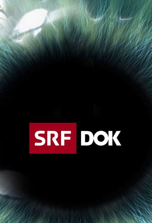 Постер: SRF DOK