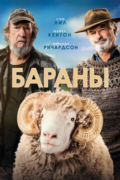Постер: Бараны