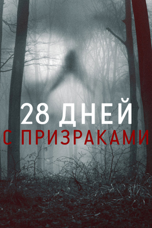 Постер: 28 дней с призраками