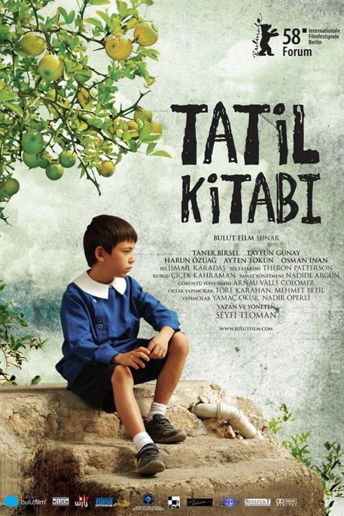 Постер: Летний дневник