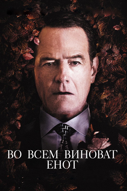 Постер: Во всём виноват енот