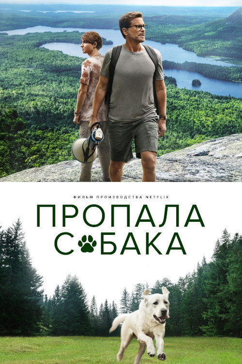 Постер: Пропала собака
