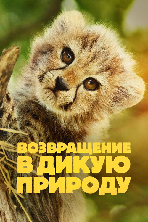 Постер: Возвращение в дикую природу