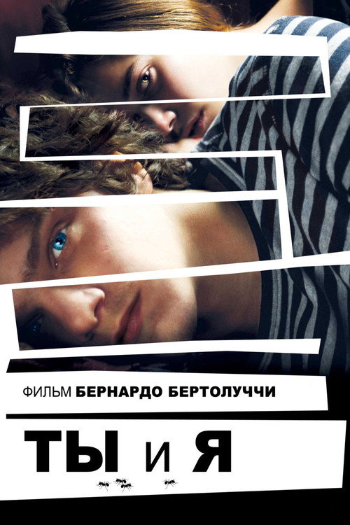 Постер: Ты и я