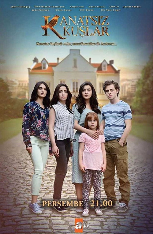 Постер: Птицы без крыльев