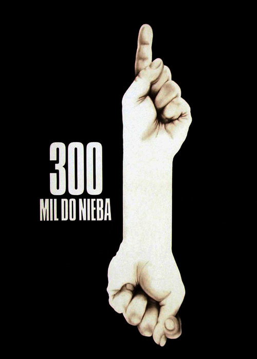 Постер: 300 миль до неба