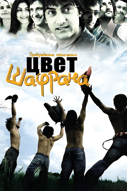 Постер: Цвет шафрана
