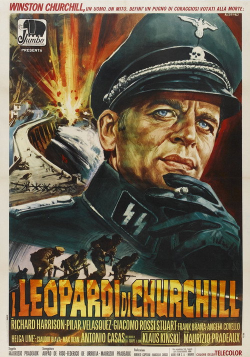 Постер: Леопарды Черчилля