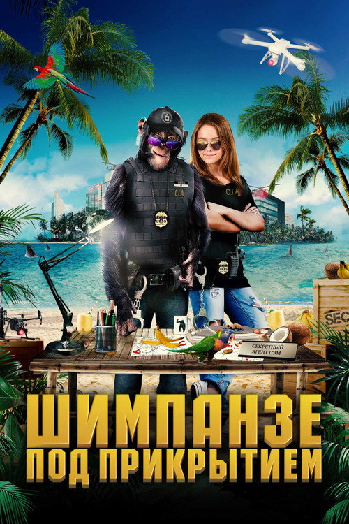 Постер: Шимпанзе под прикрытием