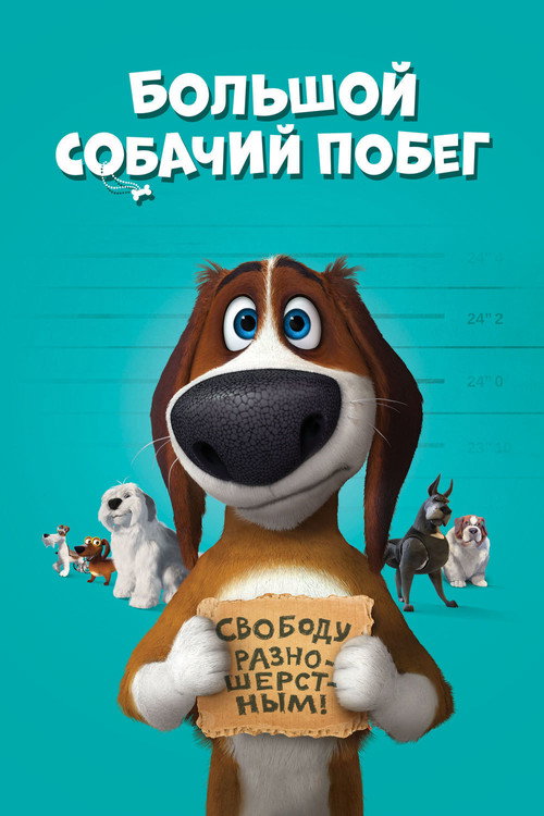 Постер: Большой собачий побег