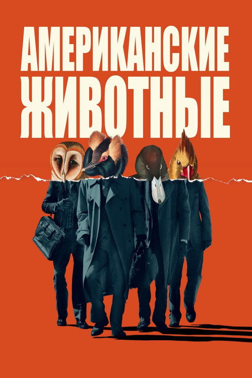 Постер: Американские животные