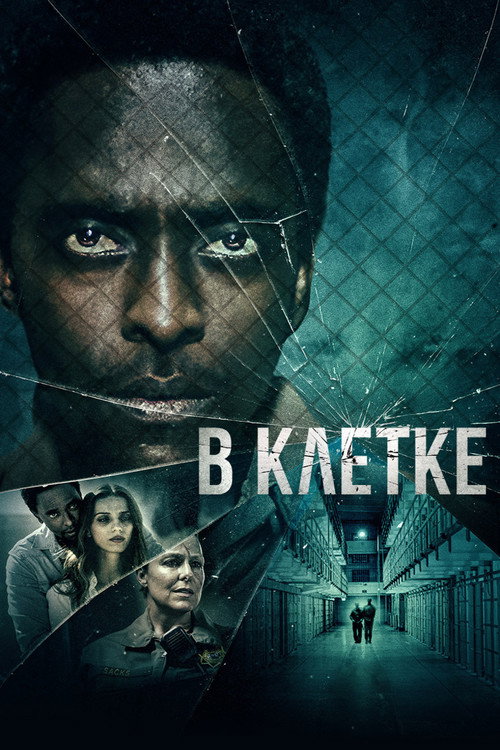 Постер: В клетке