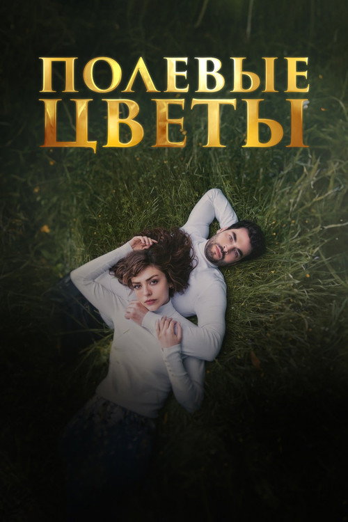 Постер: Дикие цветы
