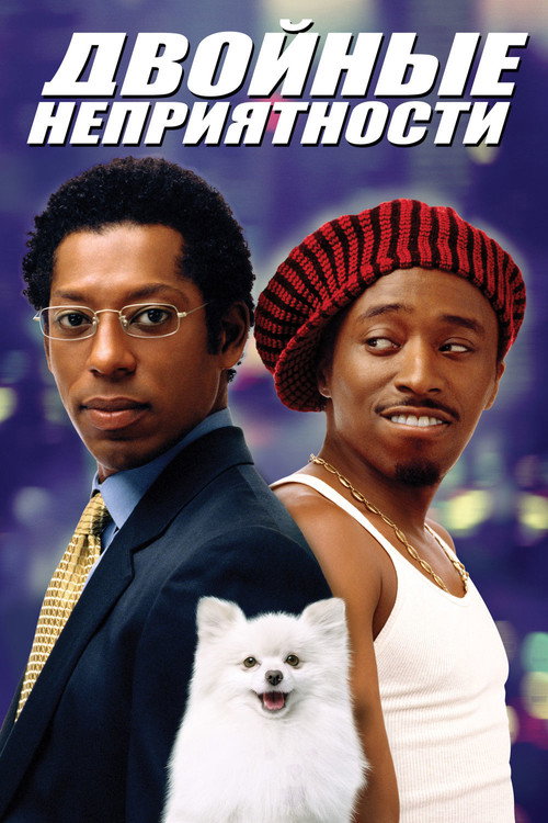 Постер: Двойные неприятности