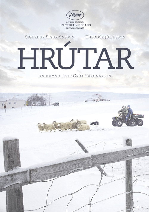 Постер: Бараны