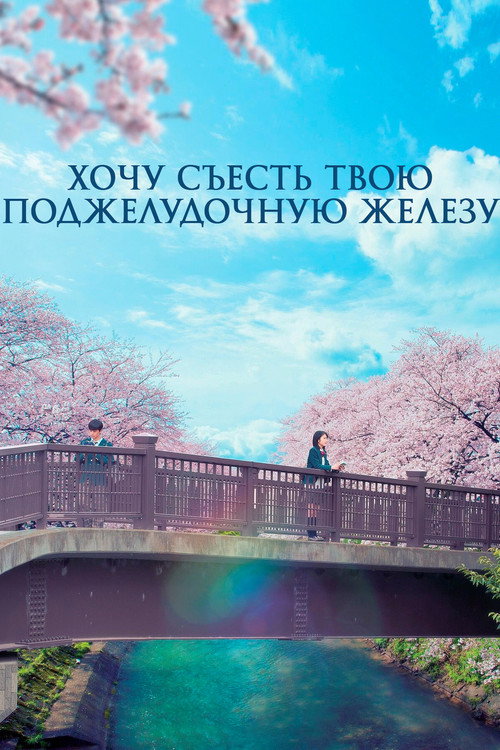 Постер: Хочу съесть твою поджелудочную железу