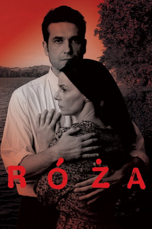 Постер: Роза