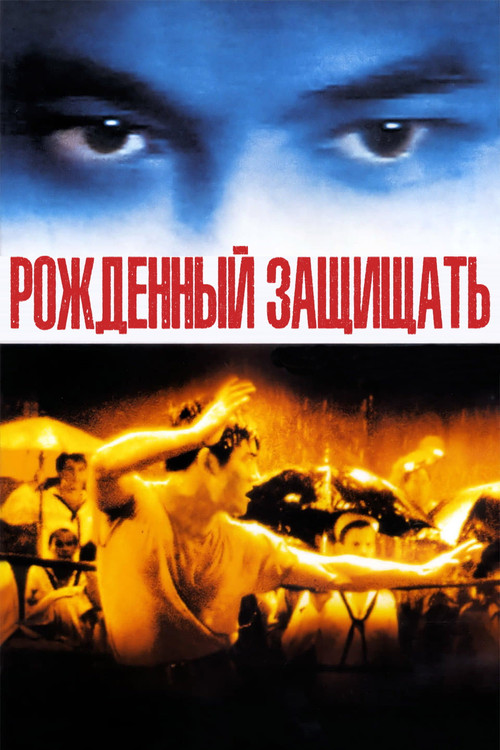 Постер: Рожденный защищать