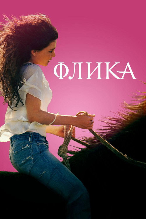 Постер: Флика