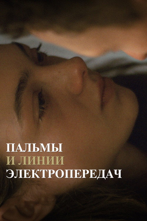Постер: Пальмы и линии электропередач