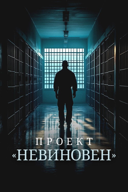 Постер: Проект «Невиновен»